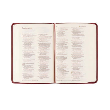 NLT Compact Bible: Helena Theme