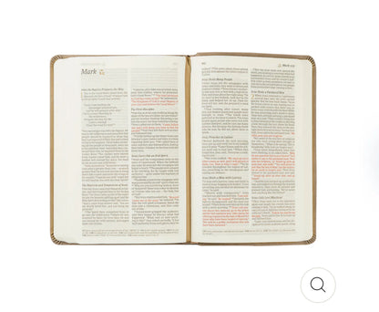 NLT Compact Bible: Aurora Theme