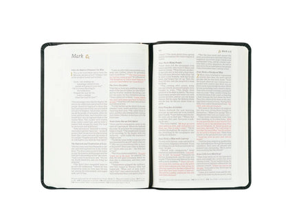 NLT Compact Bible: Jerusalem Theme