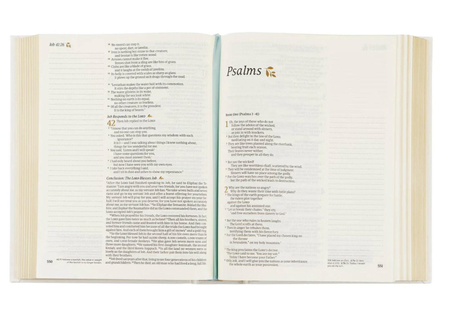 NLT Notetaking Bible: Lisbon Theme