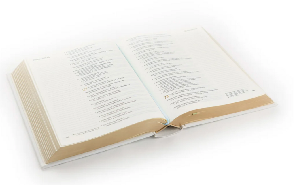 NLT Notetaking Bible: Lisbon Theme