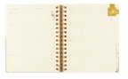 12-Month Undated Planner: Magnolia Springs Design, Spiral