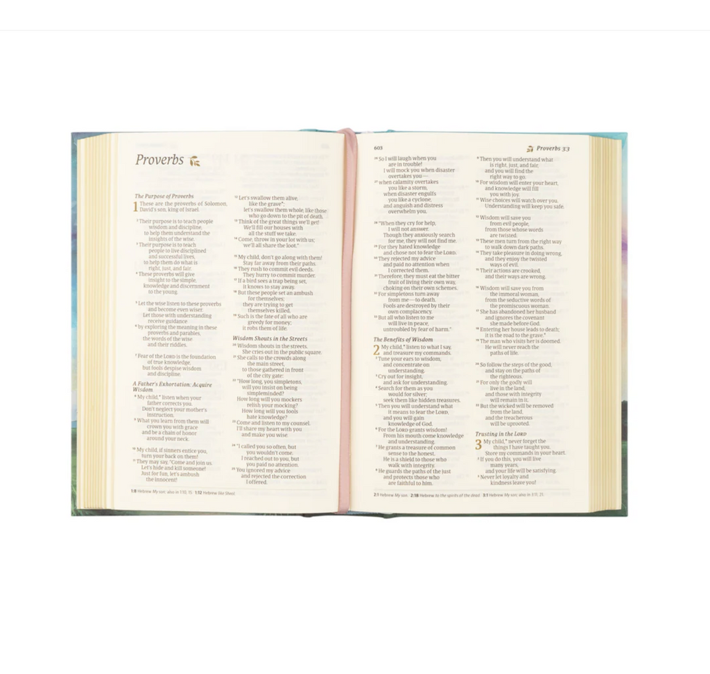 NLT Compact Bible: Prairie Theme