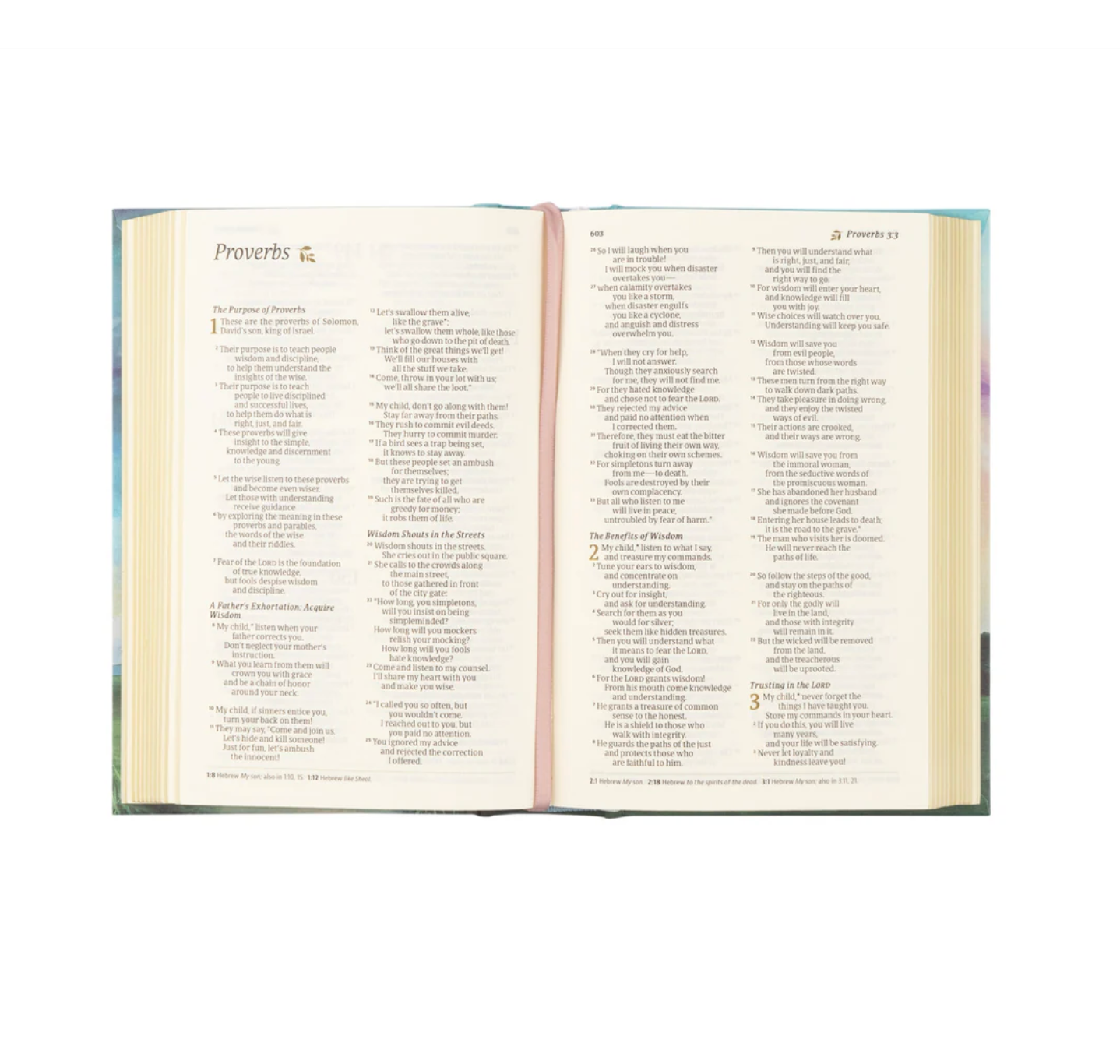 NLT Compact Bible: Prairie Theme