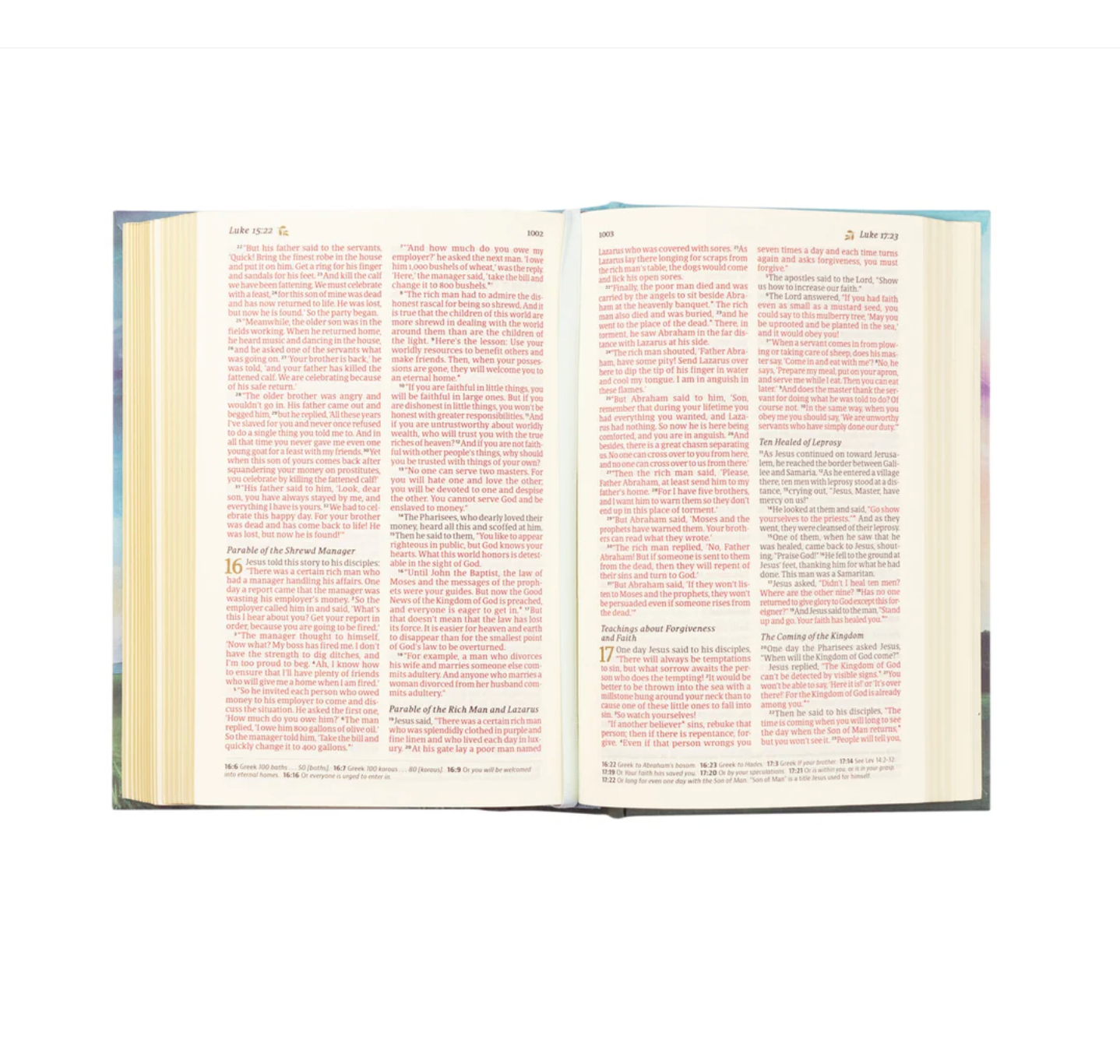 NLT Compact Bible: Prairie Theme