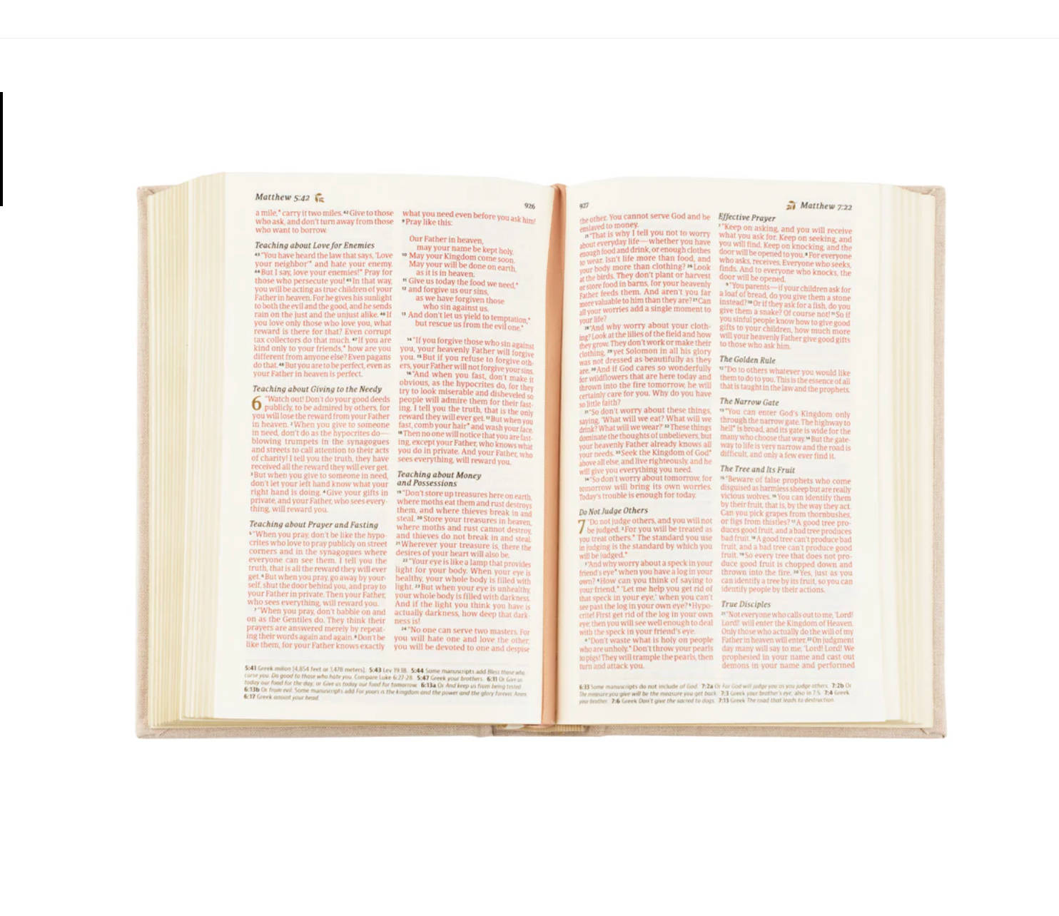 NLT Compact Bible: Casablanca Theme