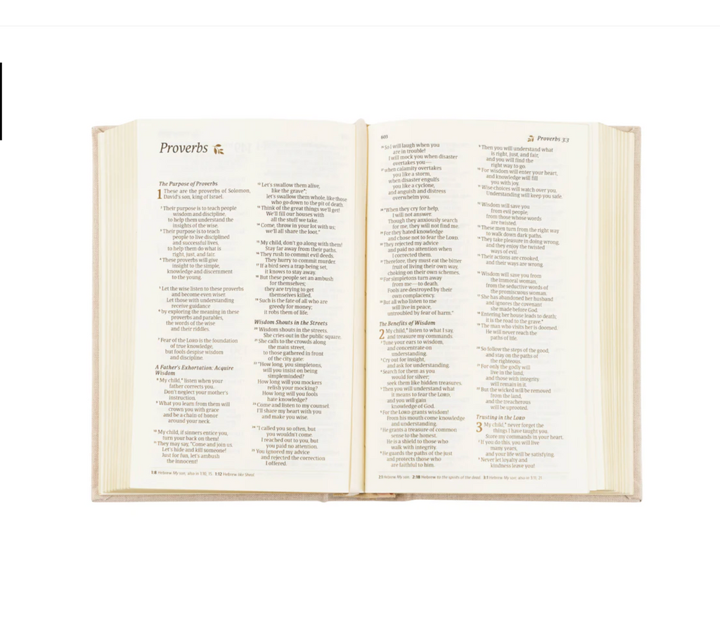 NLT Compact Bible: Casablanca Theme