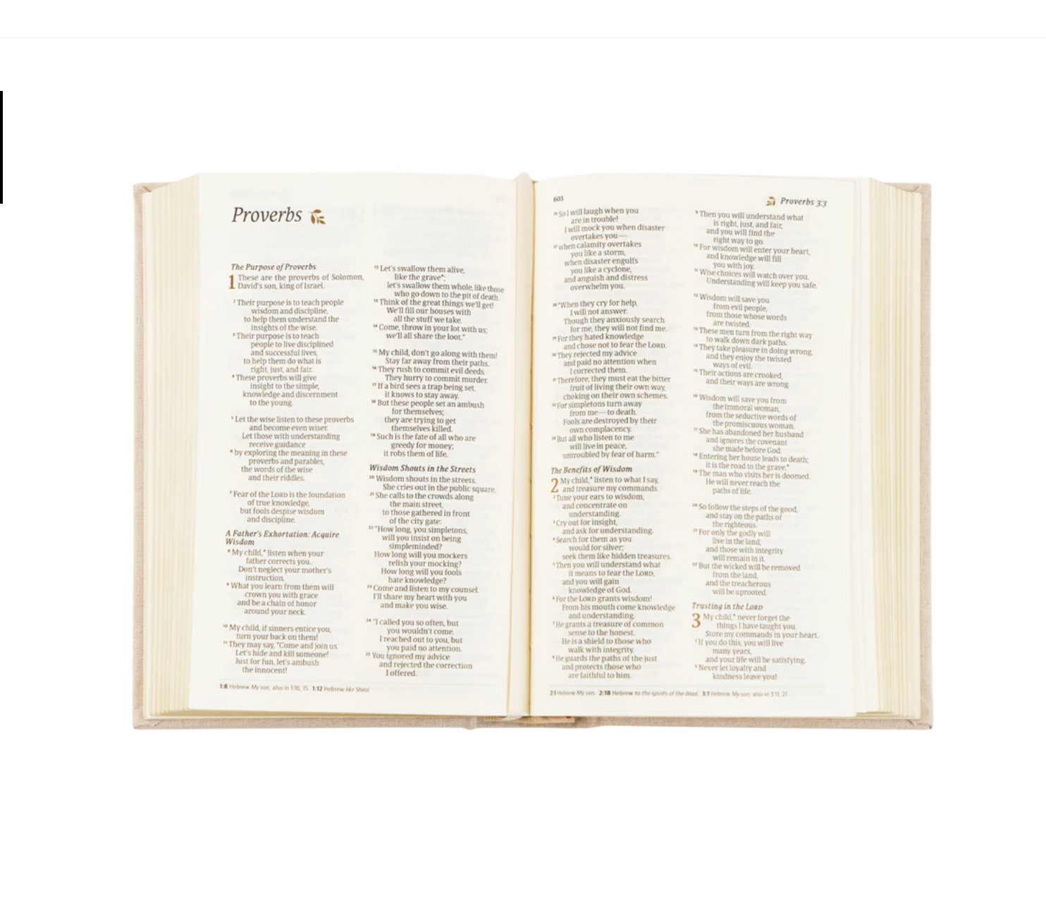 NLT Compact Bible: Casablanca Theme