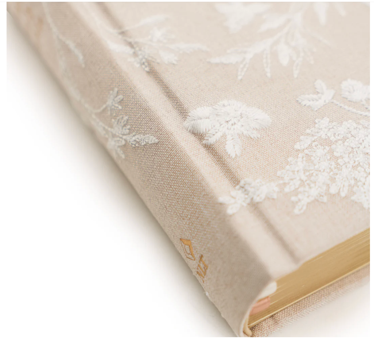 NLT Compact Bible: Casablanca Theme