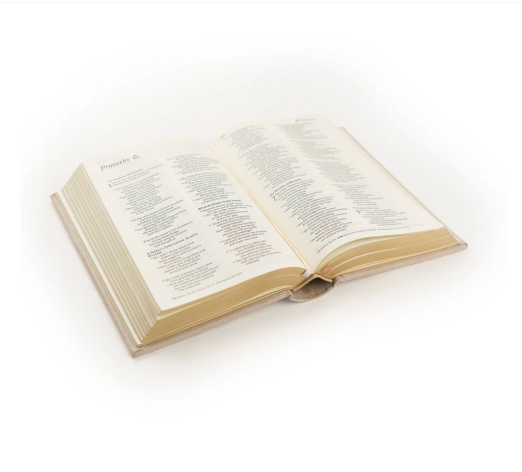 NLT Compact Bible: Casablanca Theme