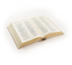 NLT Compact Bible: Casablanca Theme