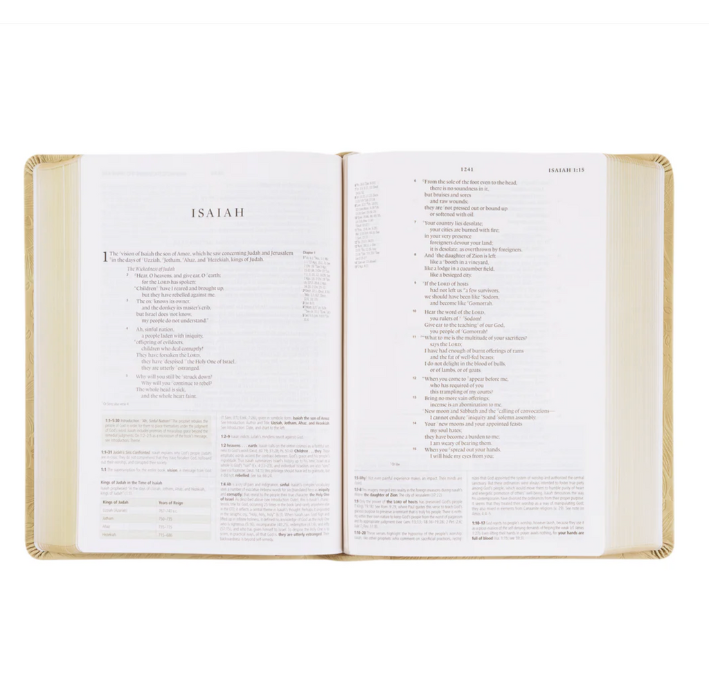 ESV Study Bible: Sonora Theme