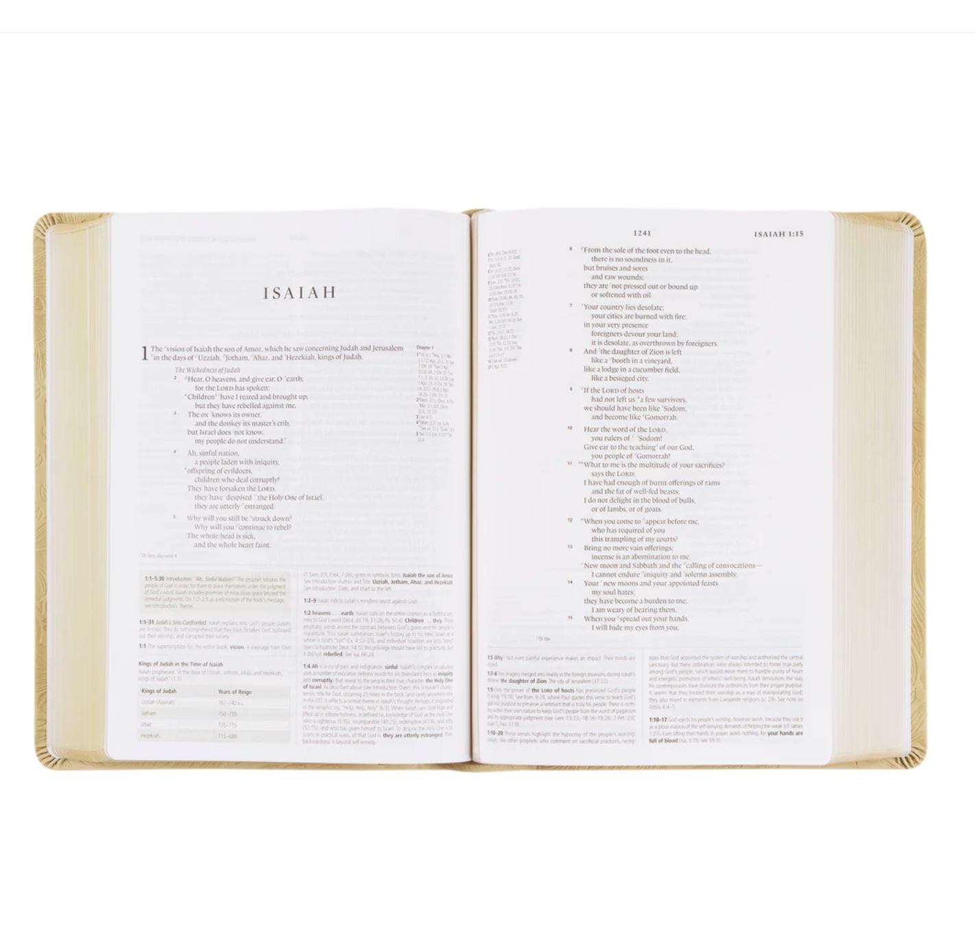 ESV Study Bible: Sonora Theme