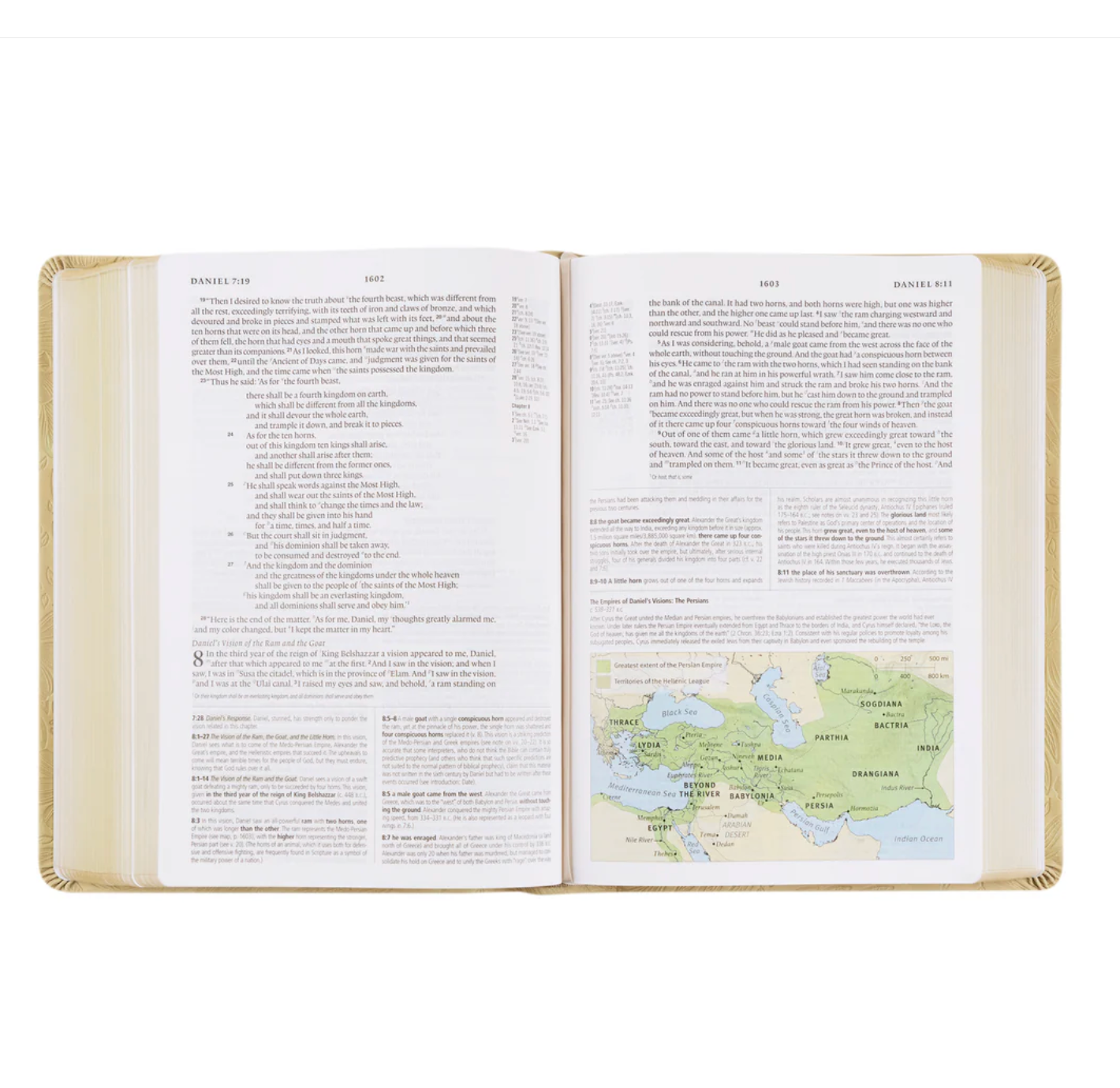 ESV Study Bible: Sonora Theme