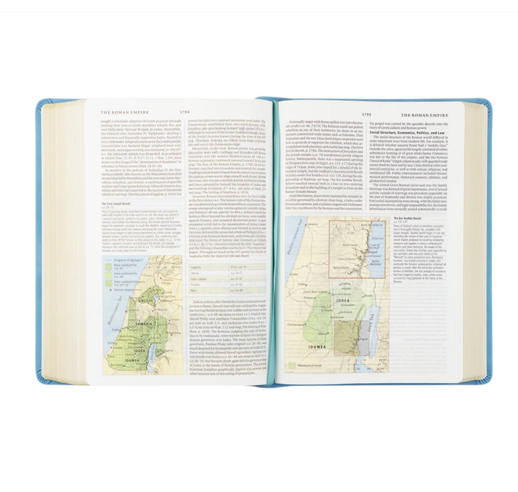 ESV Study Bible: Bethany Theme