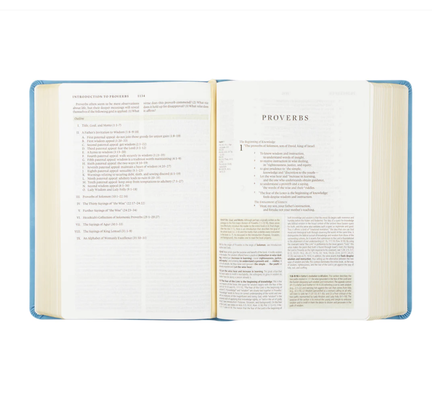 ESV Study Bible: Bethany Theme