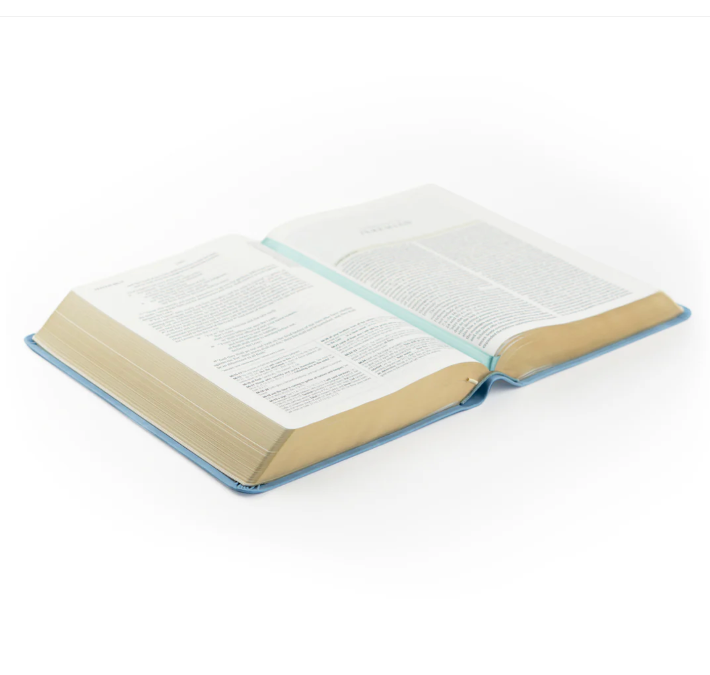 ESV Study Bible: Bethany Theme