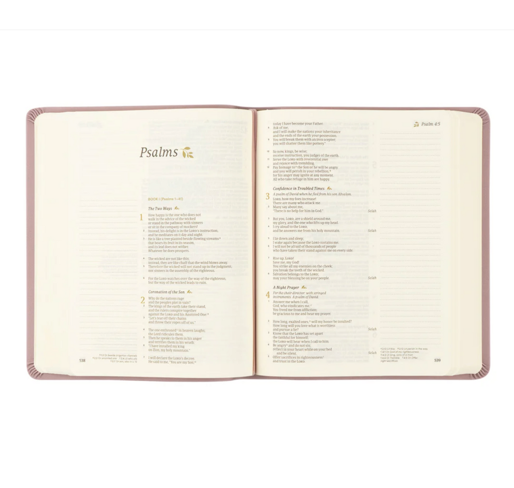 CSB Notetaking Bible: Mauves Theme