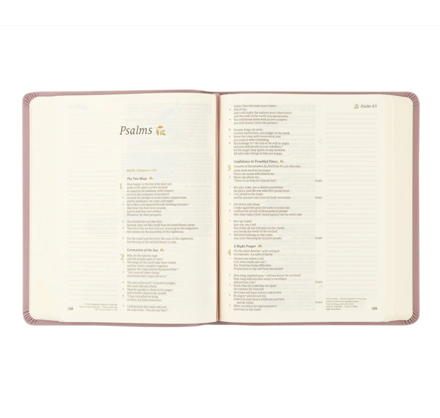 CSB Notetaking Bible: Mauves Theme