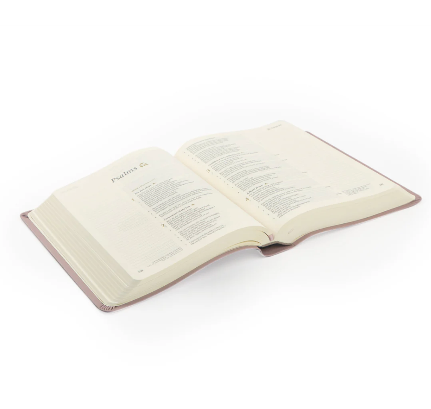 CSB Notetaking Bible: Mauves Theme