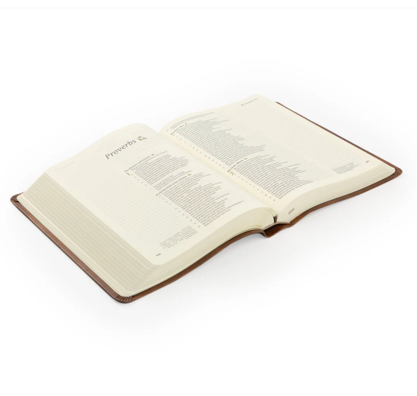 CSB Notetaking Bible: Edinburgh Theme