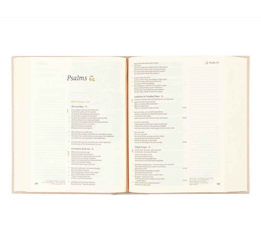 CSB Notetaking Bible: Oxford Theme