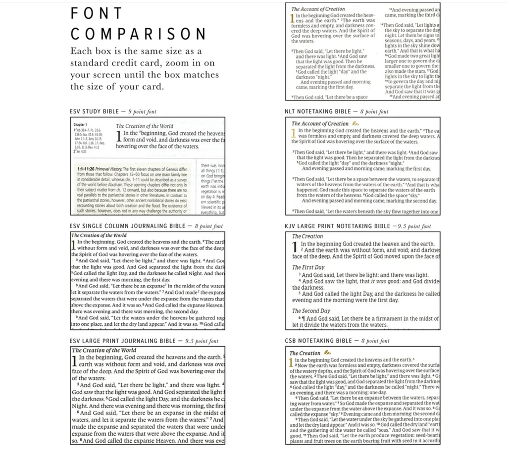 NLT Compact Bible: Casablanca Theme