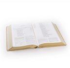 ESV Study Bible: Sonora Theme