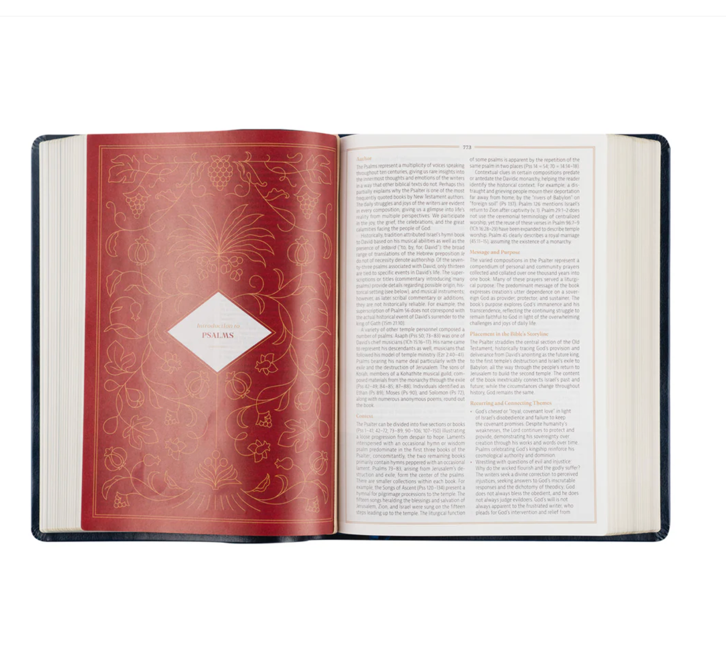 CSB Women's Study Bible: Versailles Theme