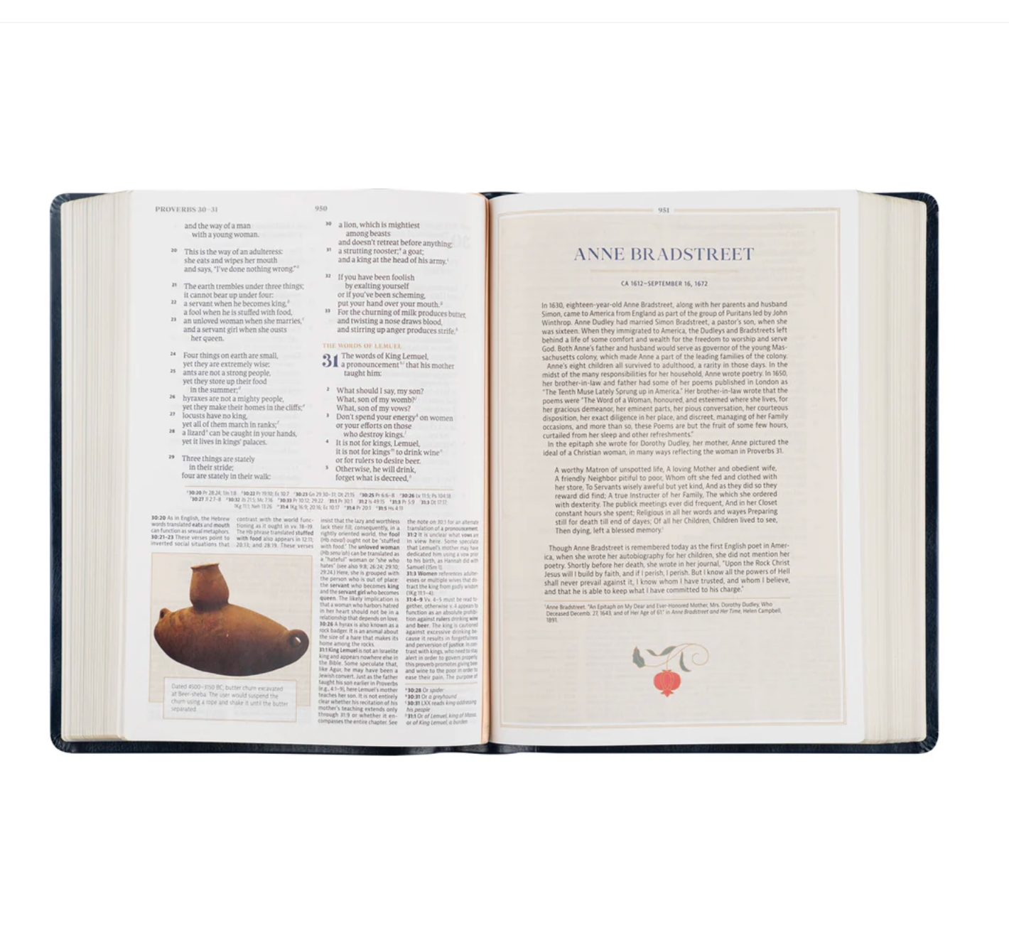 CSB Women's Study Bible: Versailles Theme