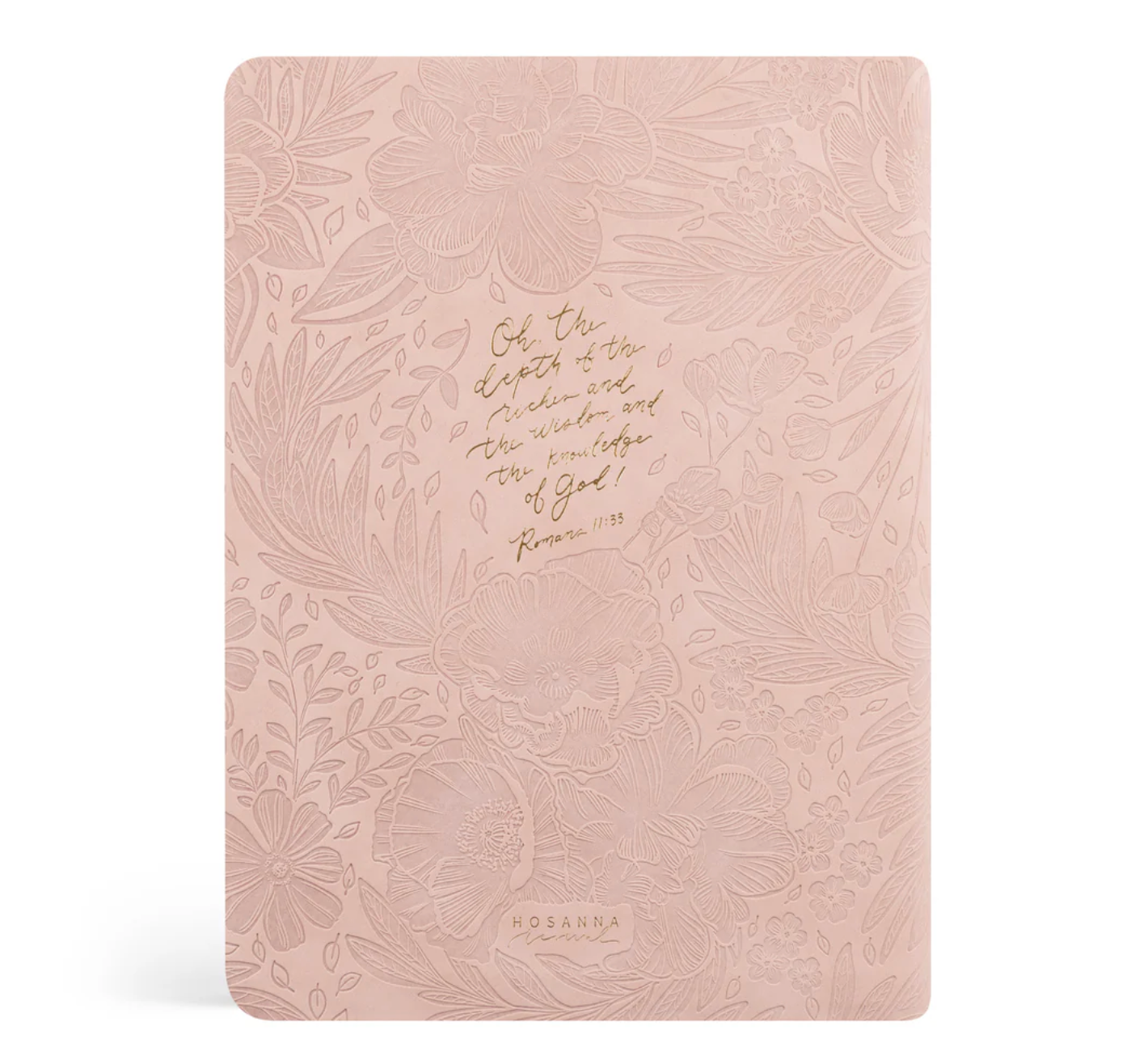 CSB Women's Study Bible: Sonora Theme