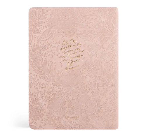 CSB Women's Study Bible: Sonora Theme