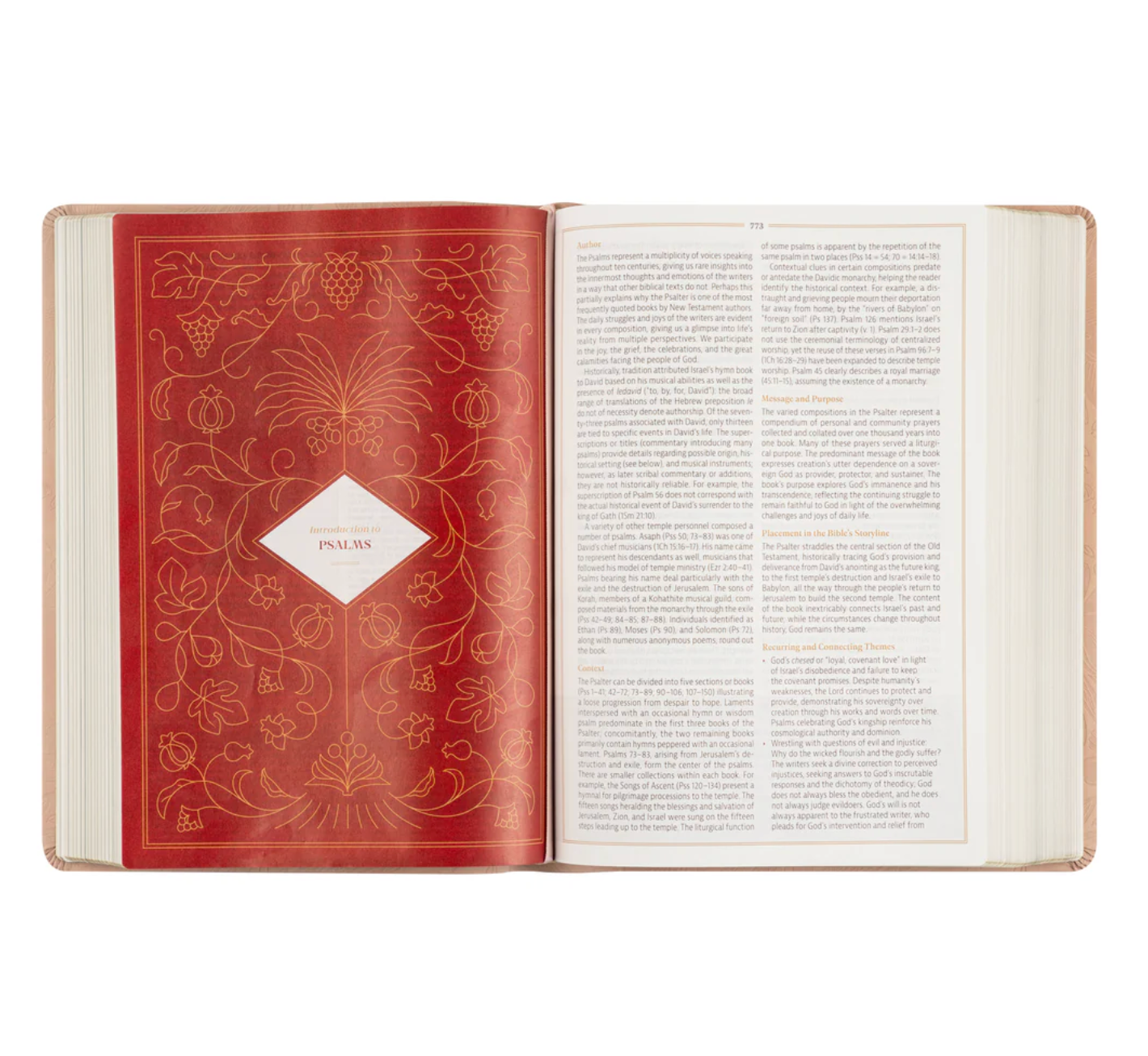 CSB Women's Study Bible: Sonora Theme
