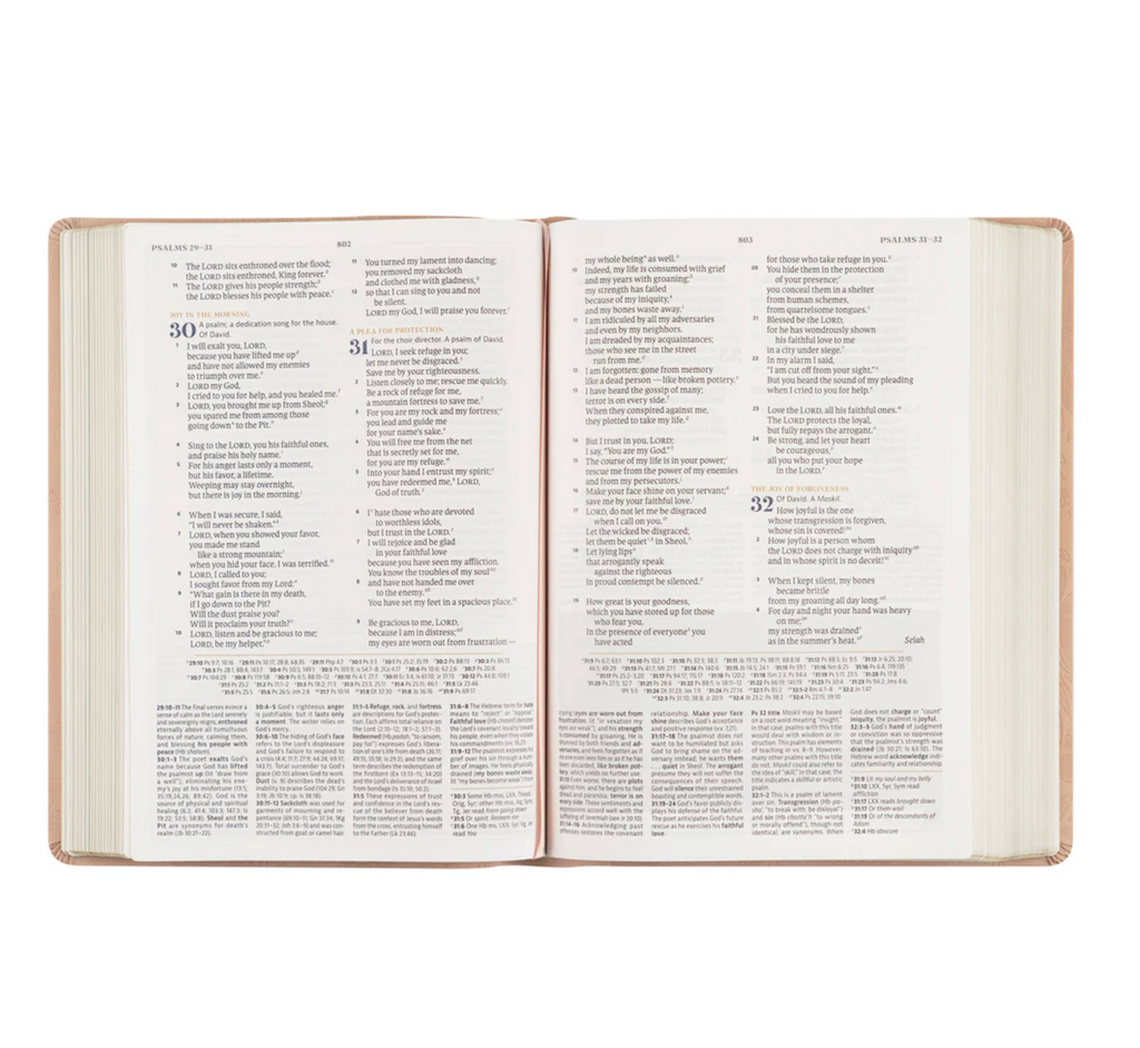 CSB Women's Study Bible: Sonora Theme