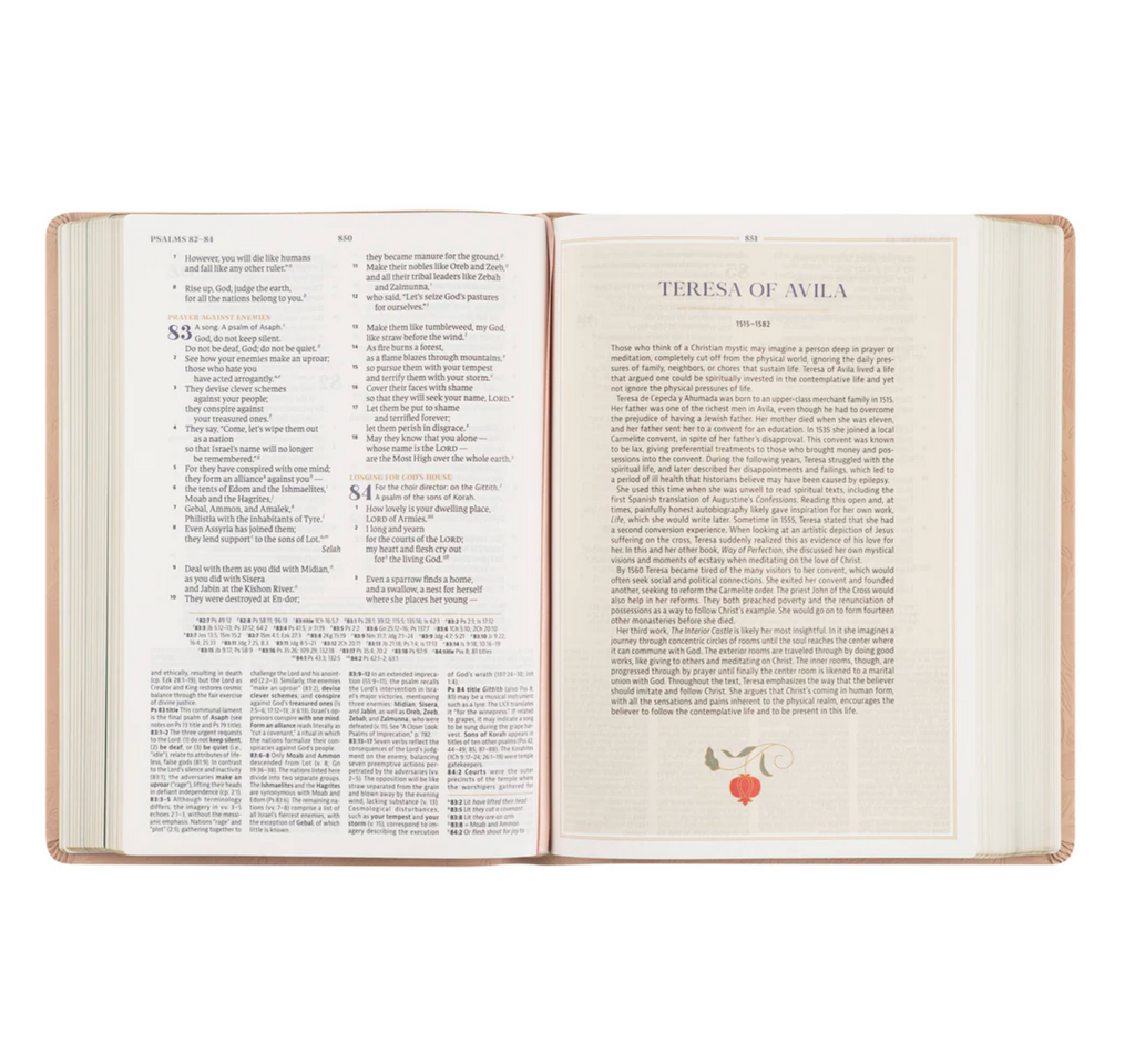CSB Women's Study Bible: Sonora Theme