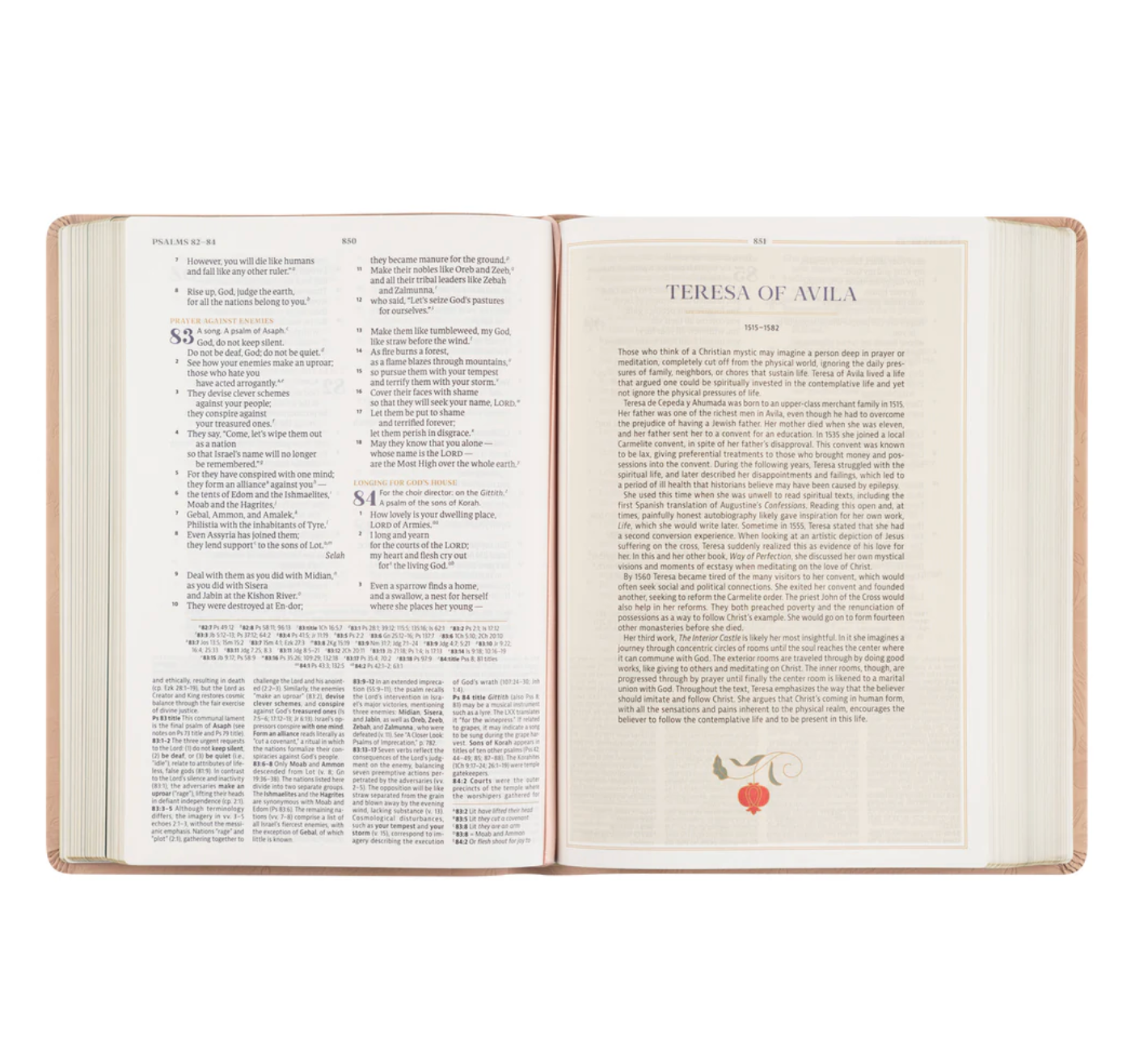 CSB Women's Study Bible: Sonora Theme