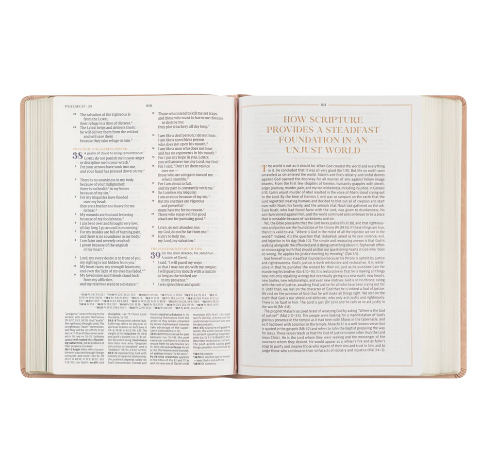CSB Women's Study Bible: Sonora Theme