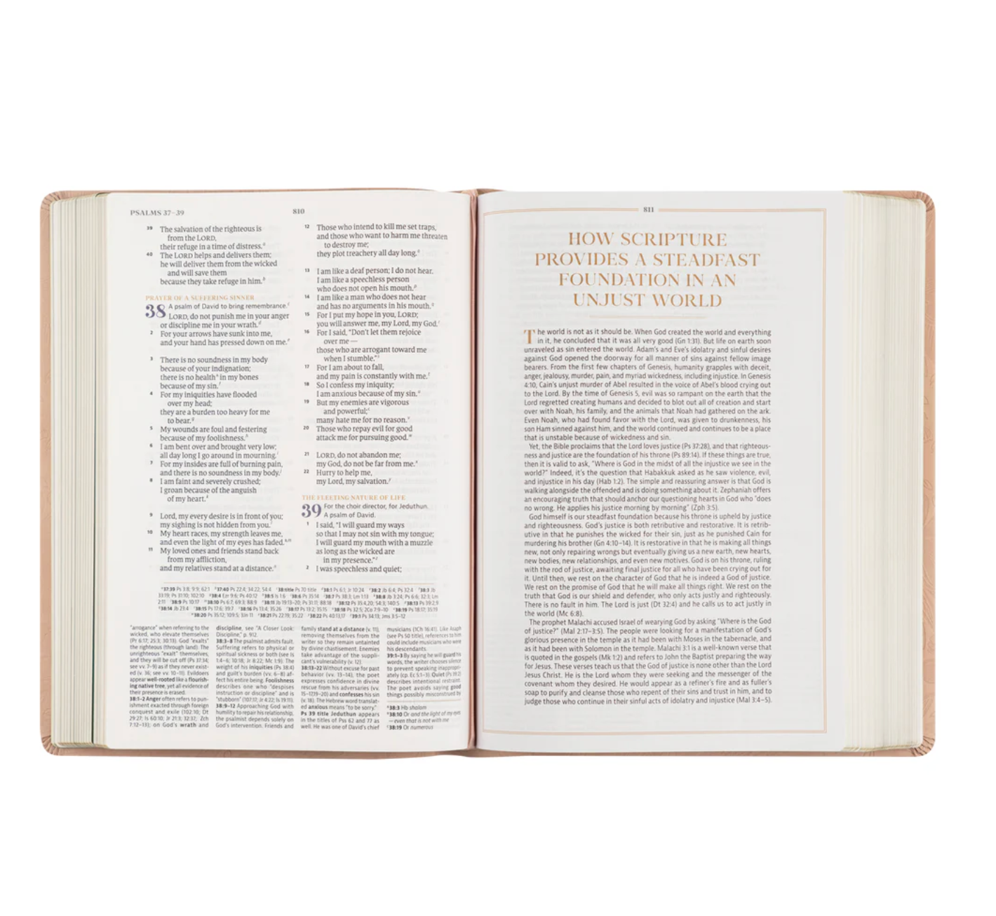 CSB Women's Study Bible: Sonora Theme
