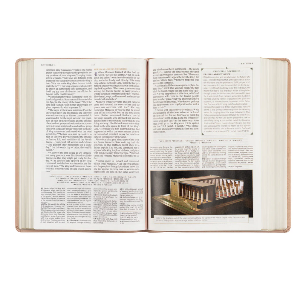 CSB Women's Study Bible: Sonora Theme
