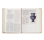 CSB Women's Study Bible: Sonora Theme
