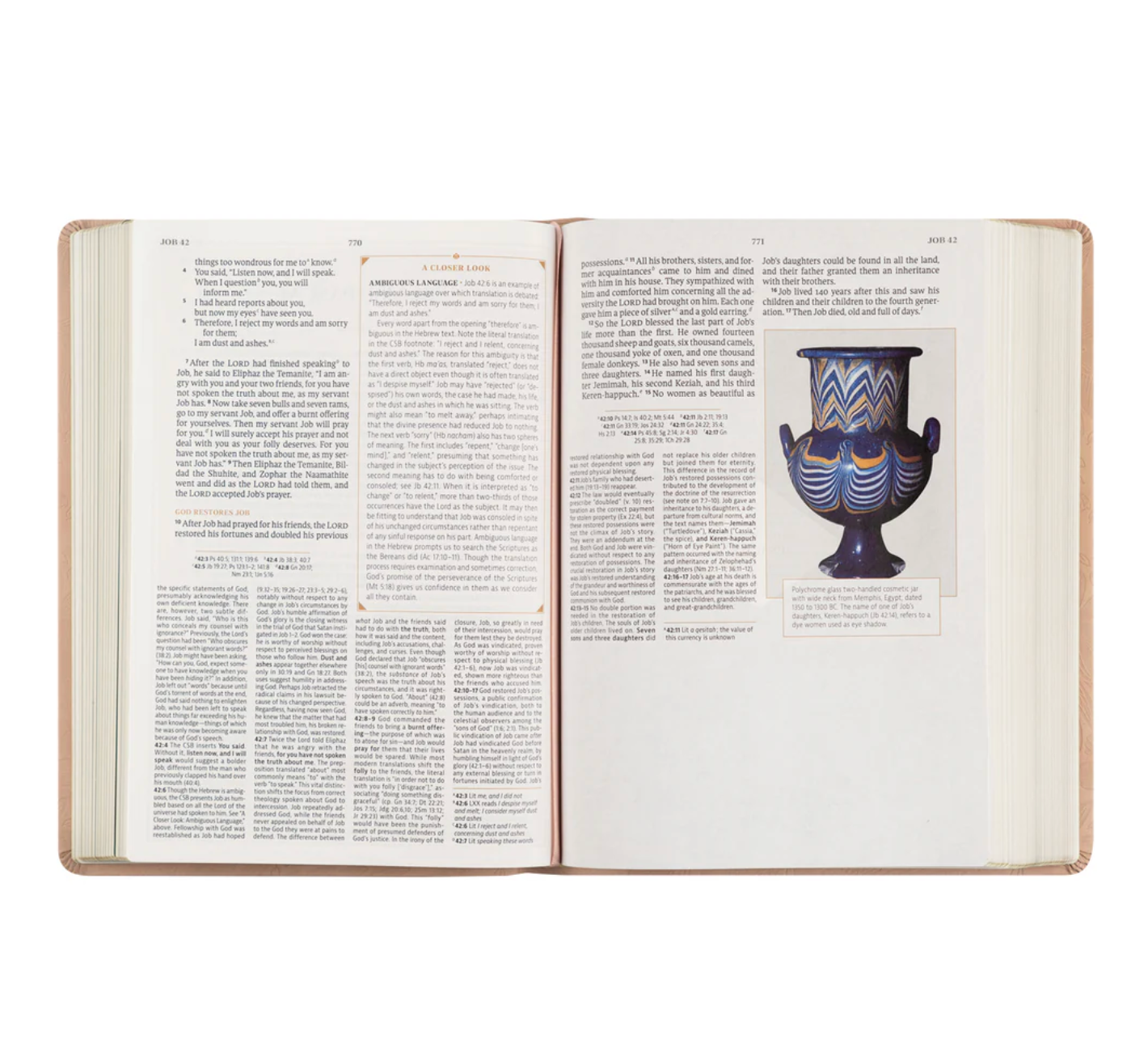 CSB Women's Study Bible: Sonora Theme