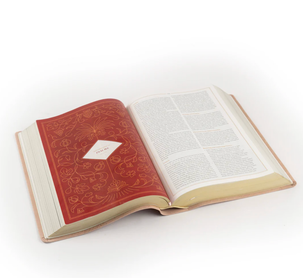 CSB Women's Study Bible: Sonora Theme