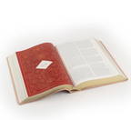 CSB Women's Study Bible: Sonora Theme