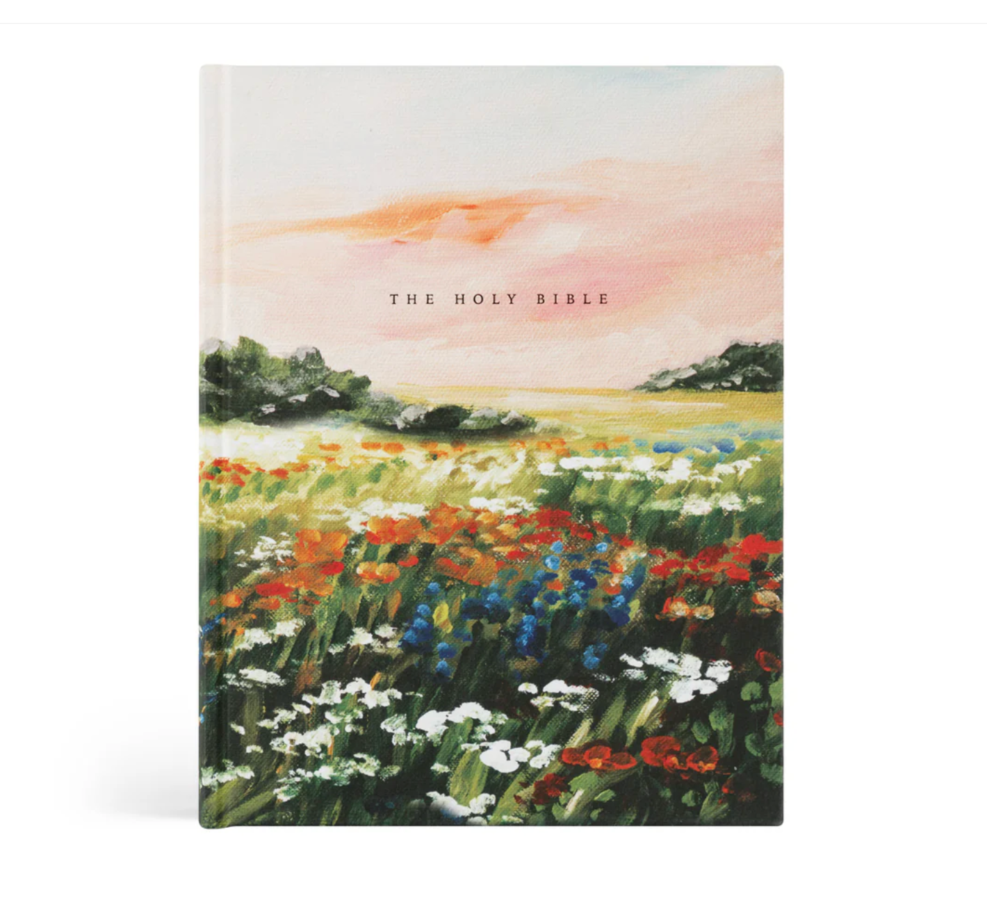 KJV Large Print Notetaking Bible: Coram Theme