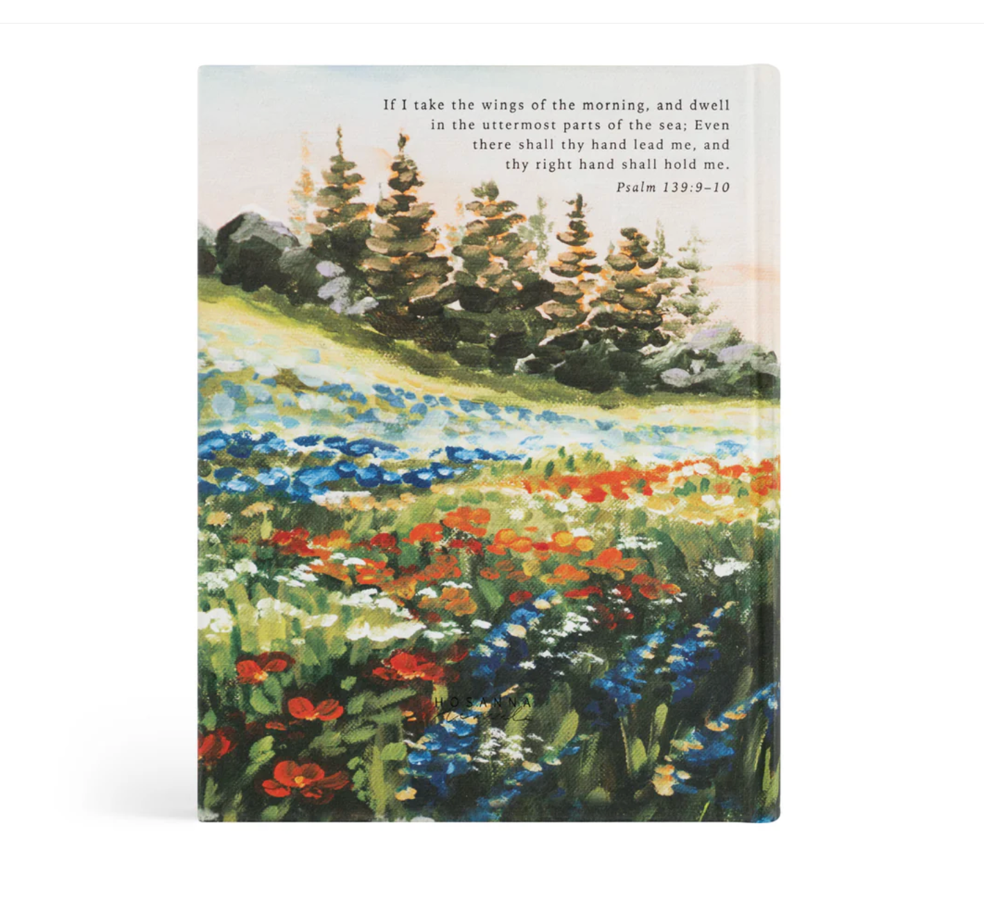 KJV Large Print Notetaking Bible: Coram Theme