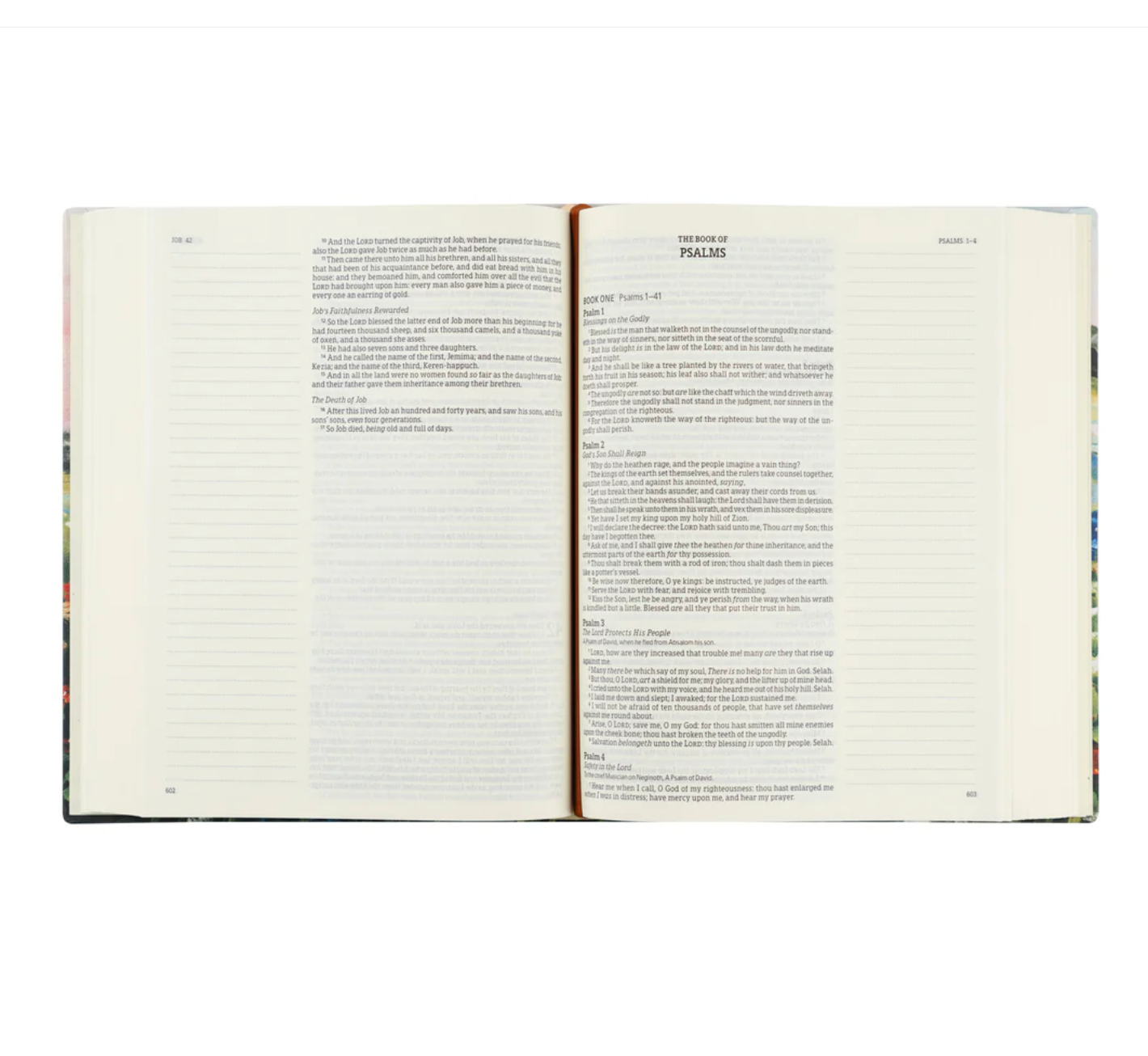 KJV Large Print Notetaking Bible: Coram Theme