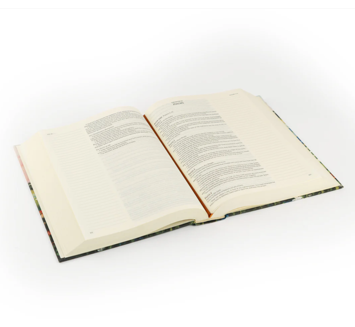 KJV Large Print Notetaking Bible: Coram Theme