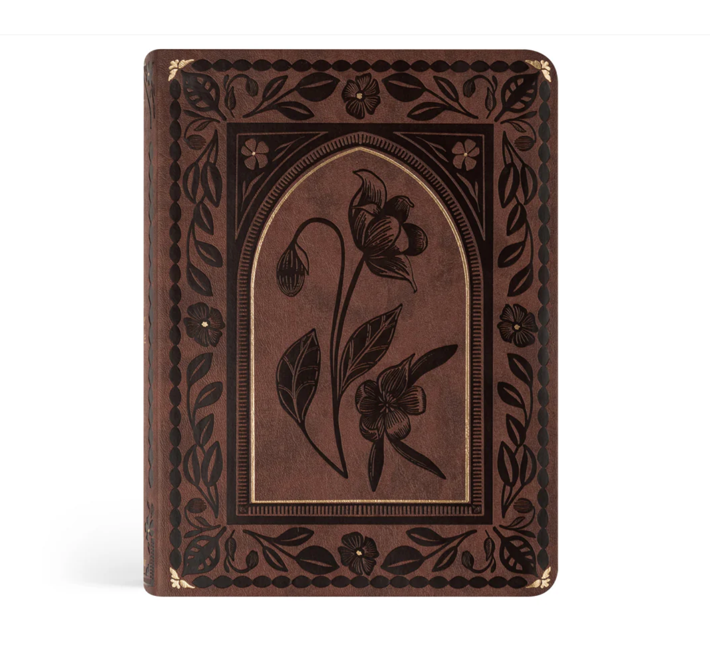 ESV Journaling Bible: Palma Theme