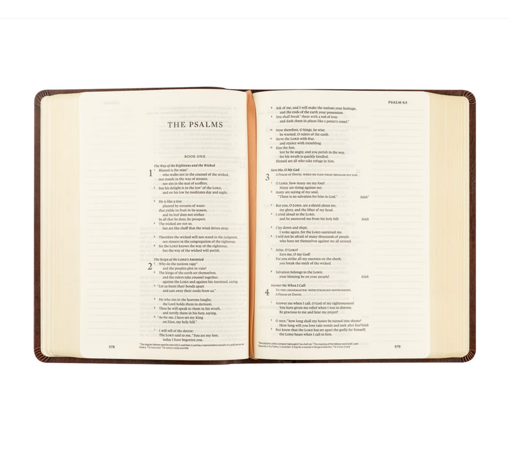 ESV Journaling Bible: Palma Theme