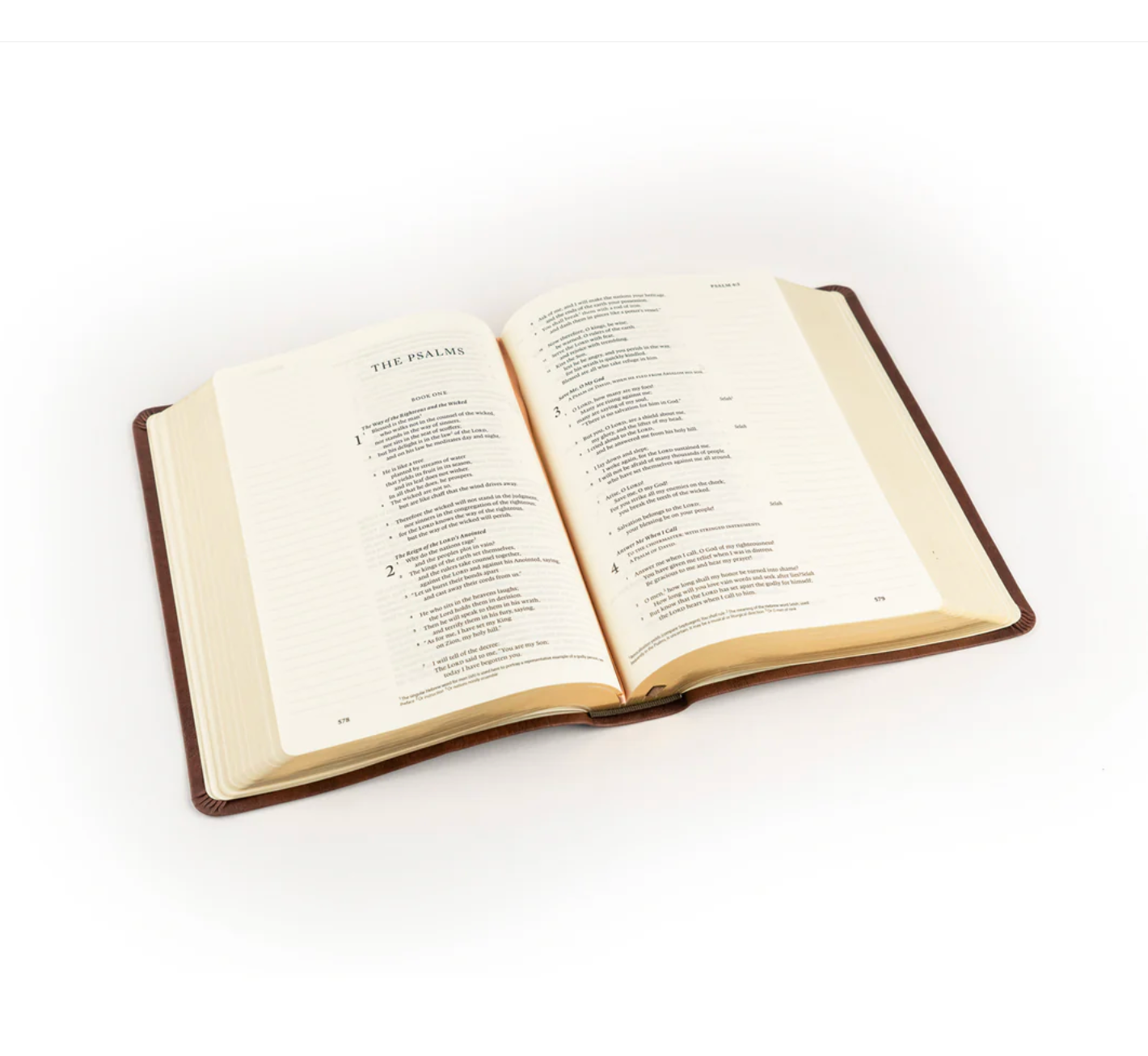 ESV Journaling Bible: Palma Theme